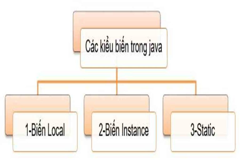 Biến (Variables), nhập xuất (input/output) và hàm toán học (Math) trong