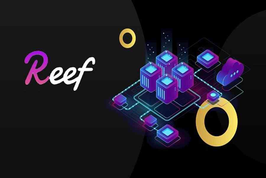 reef finance coin